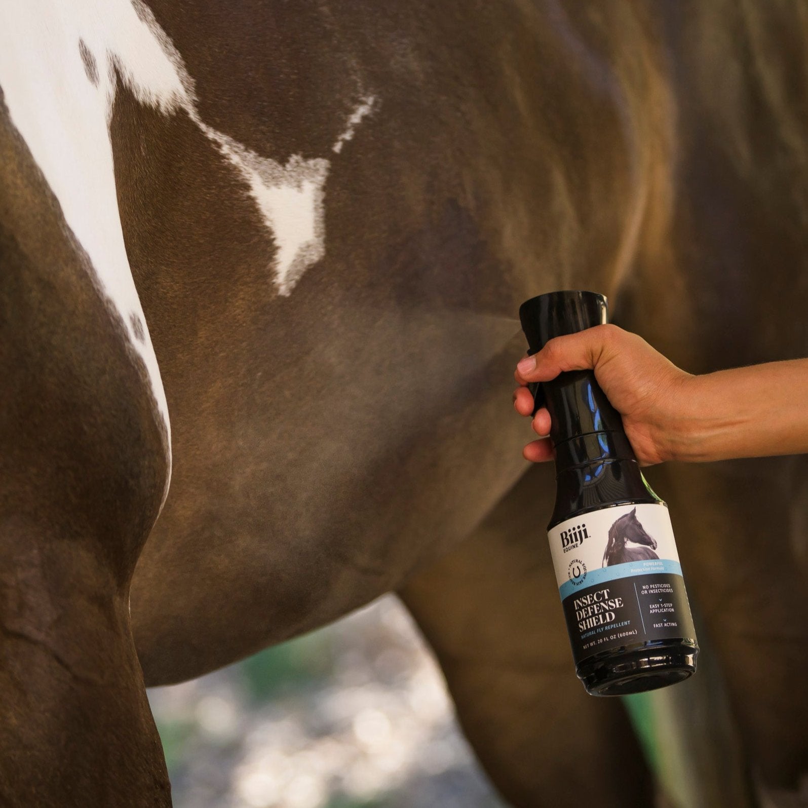 One spray bottle of Insect Defense Shield for Horses in use