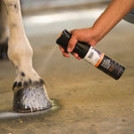 Hoof & Hock Foaming Mist spray bottle in use