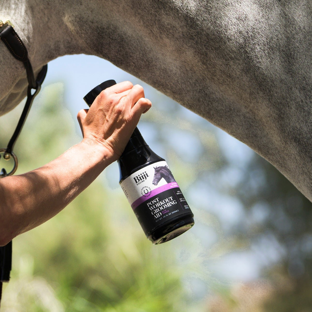 One spray bottle of Biiji Equine Post Workout Grooming Aid for Horses in use